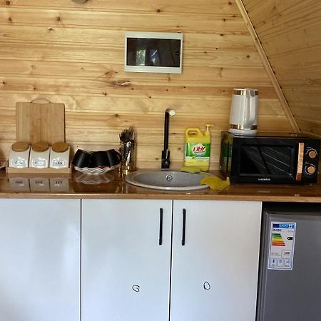A-Frame House Aizhan Saty Eksteriør billede